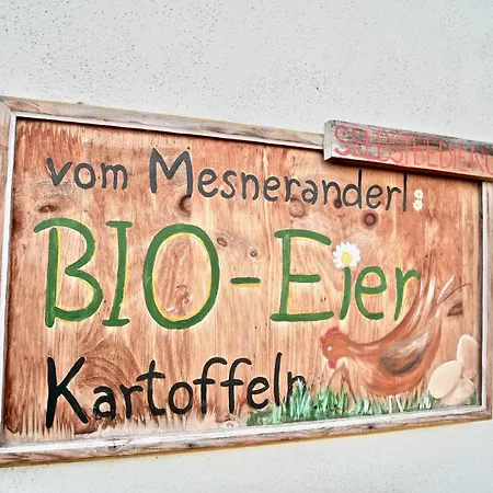 Mutters Apartment Innsbruck